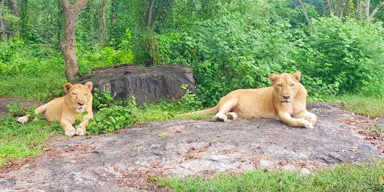 Neyyar Wildlife Sanctuary, Trivandrum